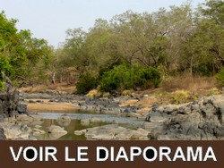 Le Parc de Bouba Ndjida