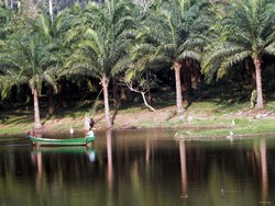 Lac d'Ebolowa