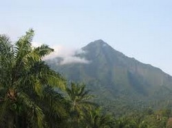 Le mont Cameroun