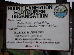 Ascension du Mont Cameroun